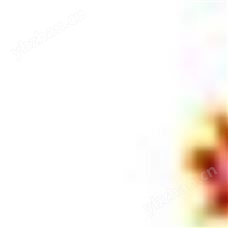 MD-868地下管道 可燃氣體泄漏測試儀