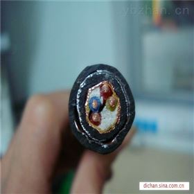 计算机电缆djypvp22-300/500v-3x2x1