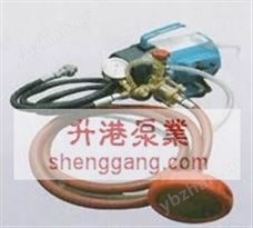 单项电动试压泵DSY-220/6.0